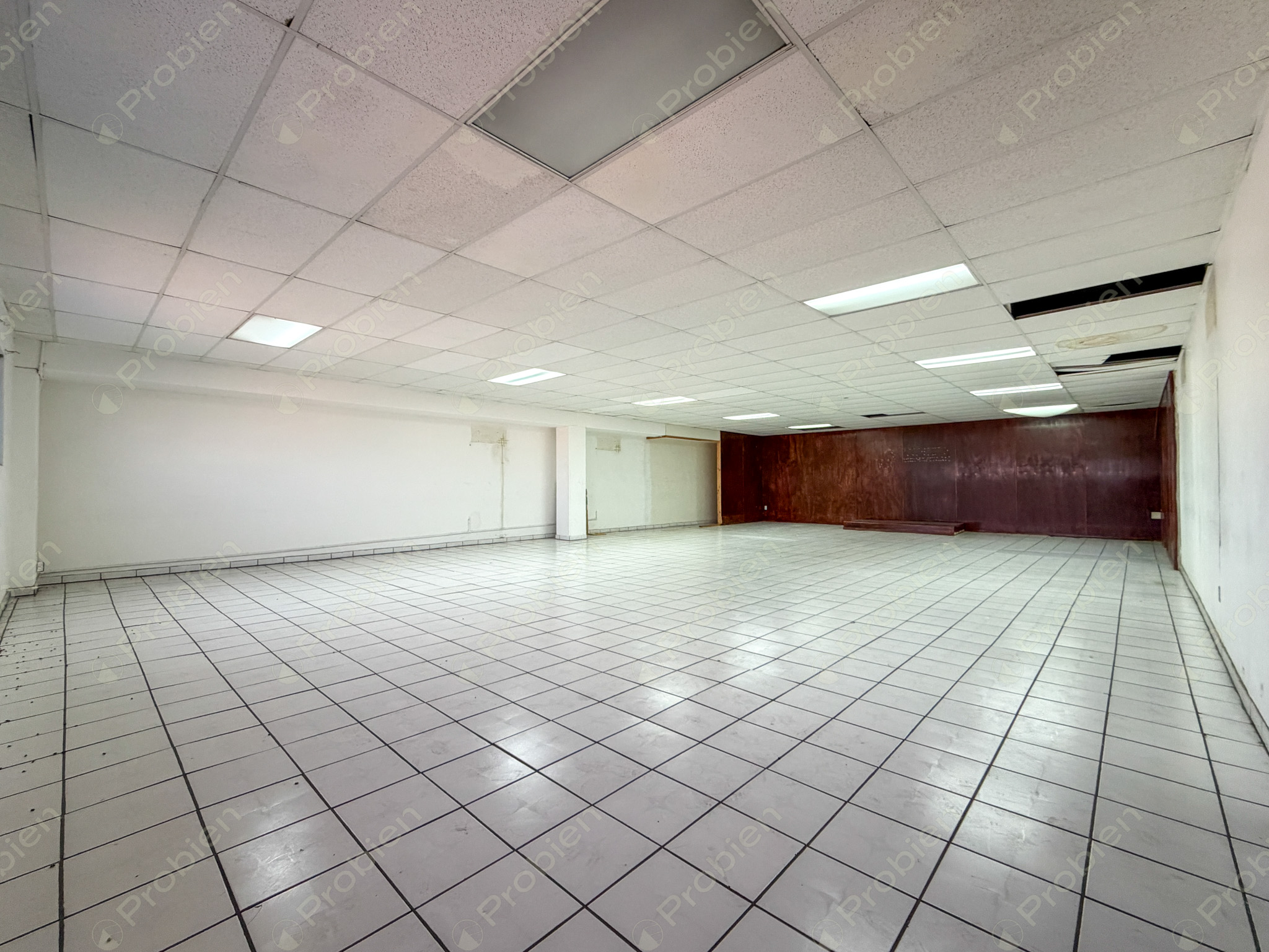 Espacio corporativo en renta en Calle Novena, Zona Centro Tijuana, nivel completo de 600 m² - Foto 4 de 13